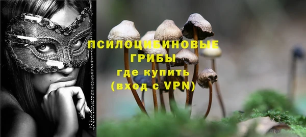 индика Волосово