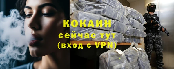 индика Волосово