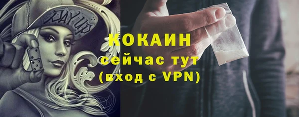 индика Волосово