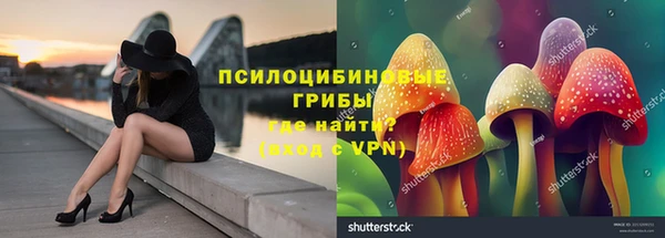 индика Волосово