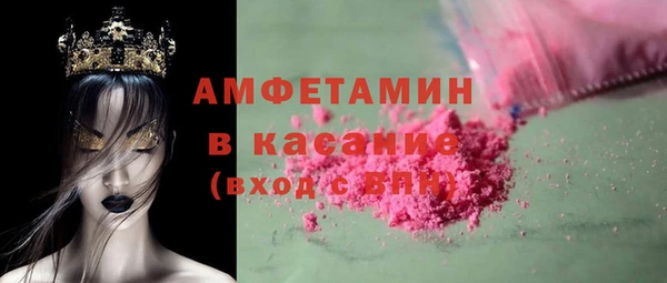 индика Волосово