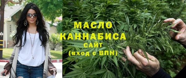 индика Волосово