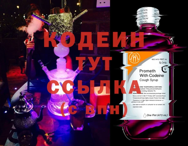 индика Волосово