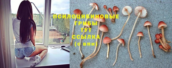 шишки Володарск