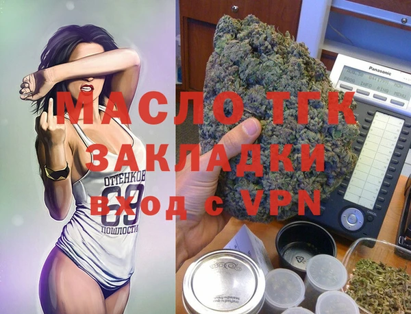 индика Волосово