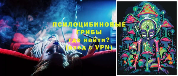 шишки Володарск