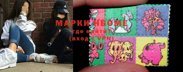 индика Волосово