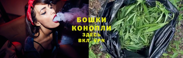 шишки Володарск