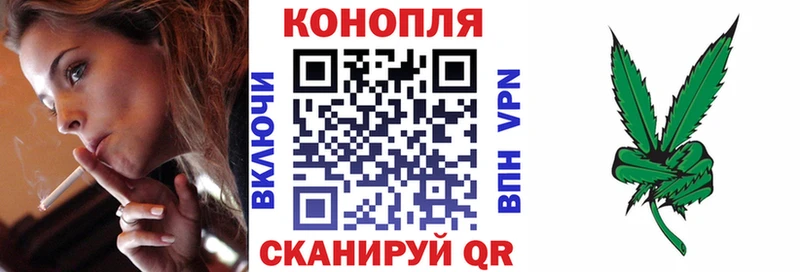 Каннабис ГИДРОПОН  Курск 